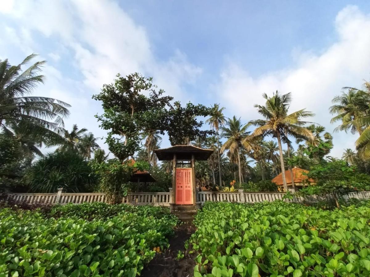 تِيانيا Bali North Beach B&B المظهر الخارجي الصورة