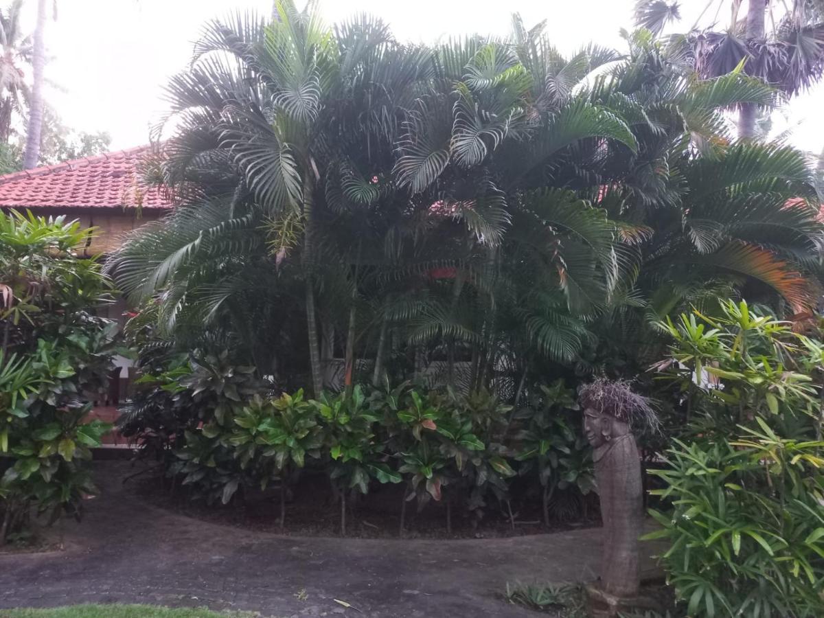 تِيانيا Bali North Beach B&B المظهر الخارجي الصورة