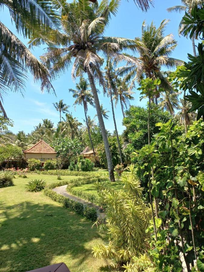 تِيانيا Bali North Beach B&B المظهر الخارجي الصورة